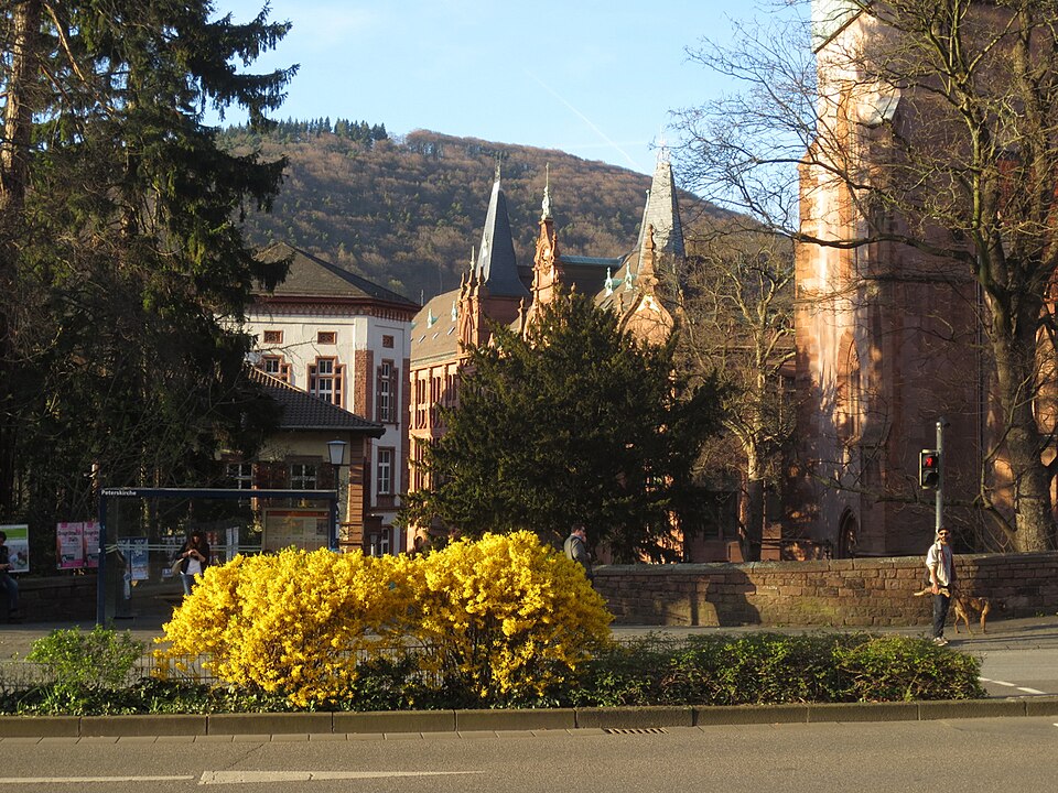 Heidelberg’s Old Town university area and library.