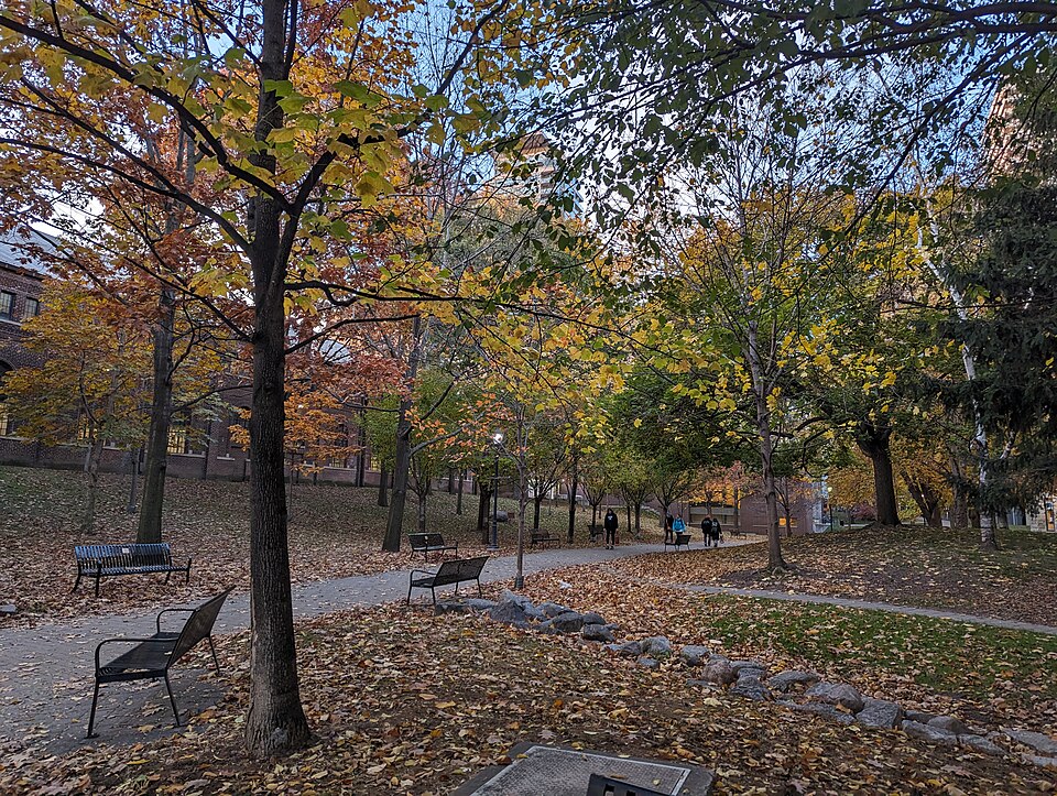 The University of Toronto campus photographed in November 2023.