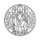 Leipzig University website icon